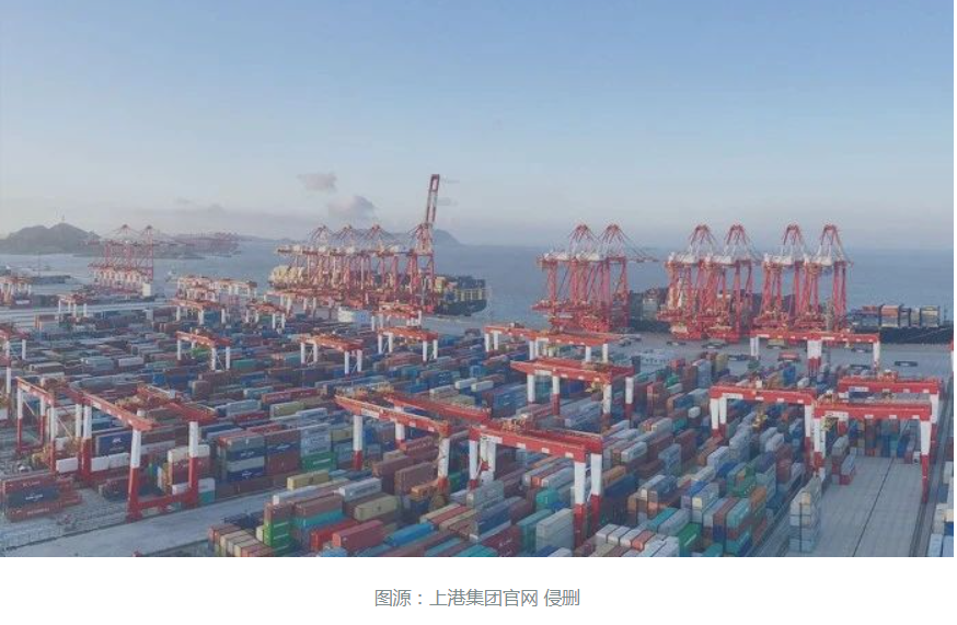 最新港口排名!6个中国港口跻身前10,上海港领先1000万TEU!